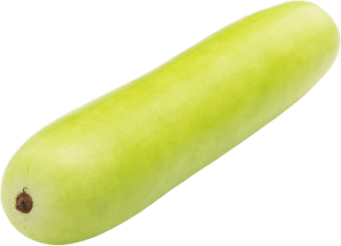 Bottle Gourd PNG