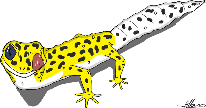 Leopard Lizards PNG