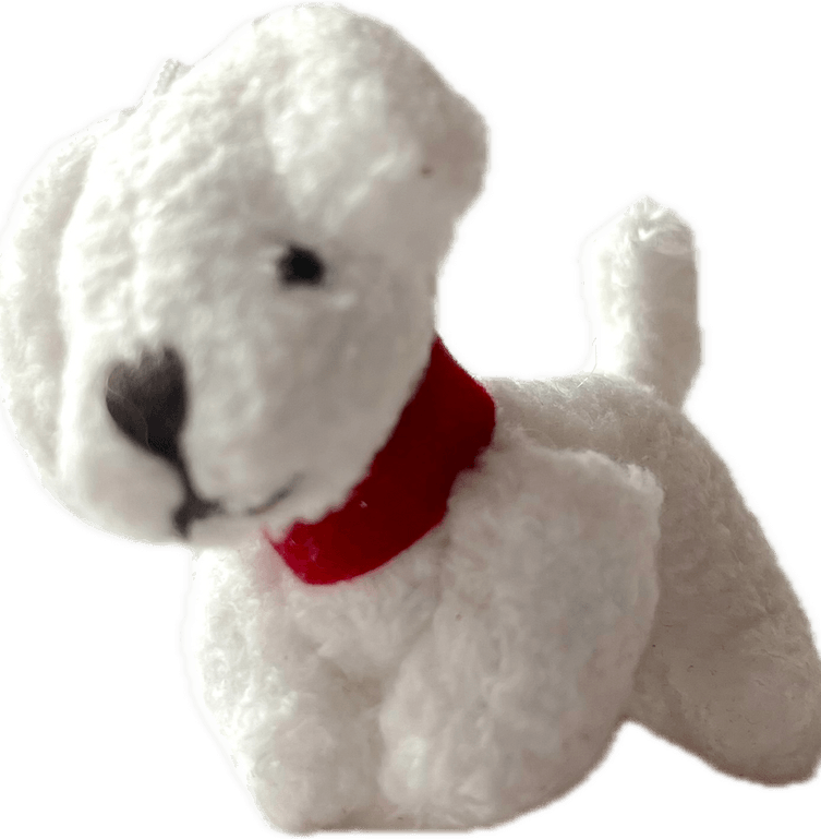 Small White Dog PNG
