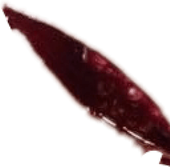 Scars PNG