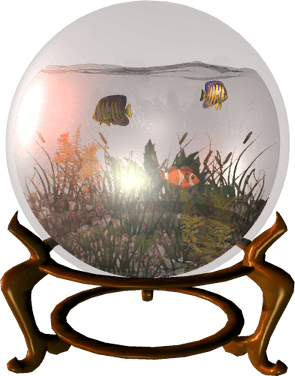 Fish Bowl PNG