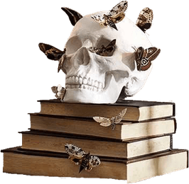 Light Academia Aesthetics Theme PNG