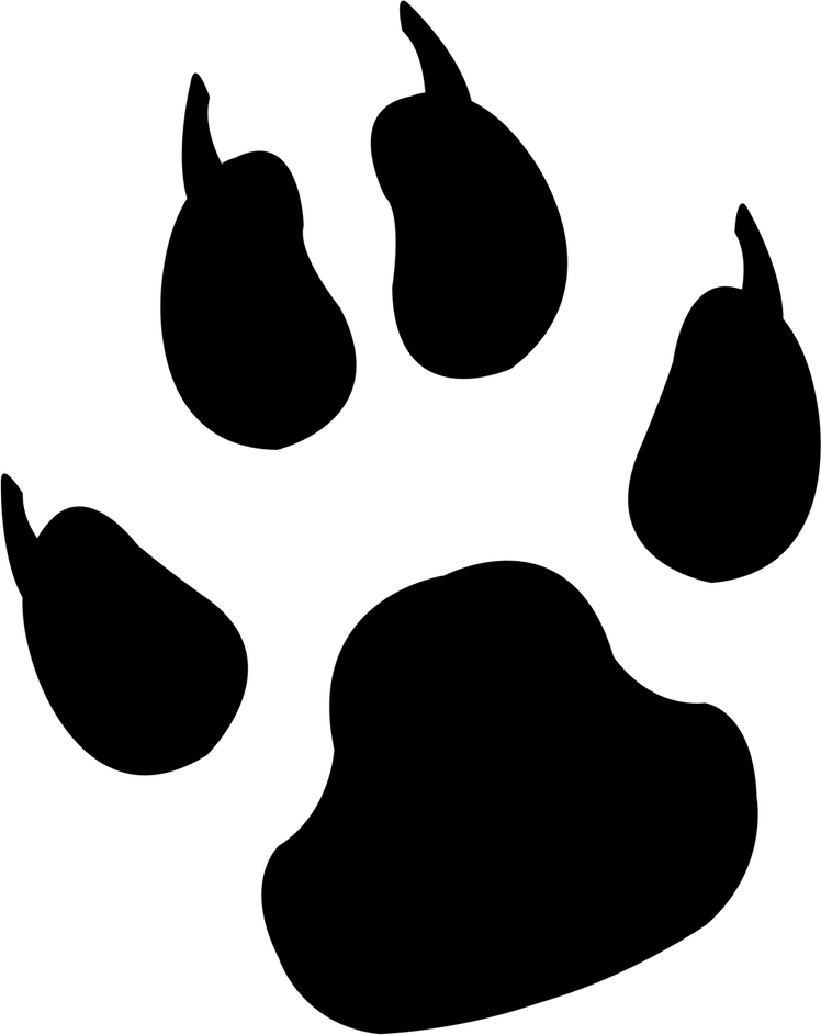 Paw Print PNG
