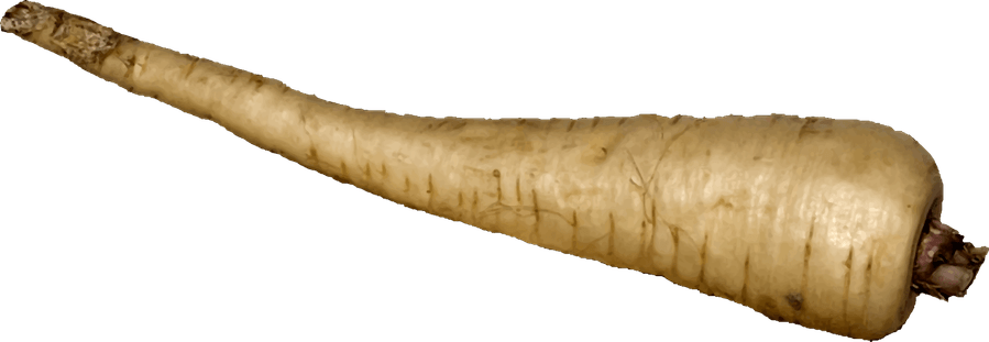 Horseradish PNG
