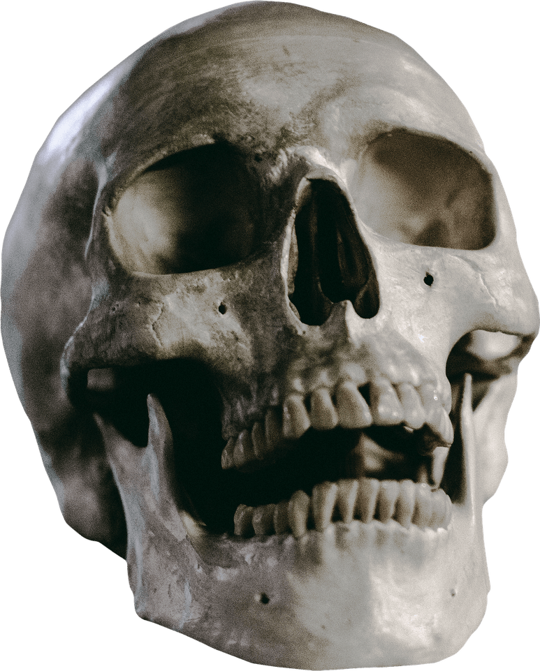 Head Skull PNG