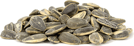 Sunflower Seeds PNG