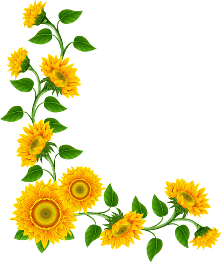 Summer Border PNG
