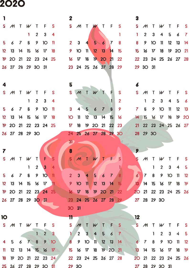 2020 Calendar PNG