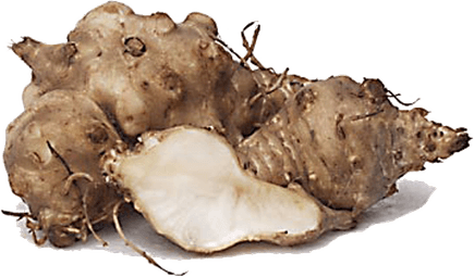 Jerusalem Artichokes PNG