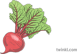 Beetroot PNG