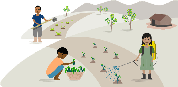Child Labour PNG