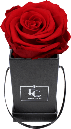Infinity Rose PNG