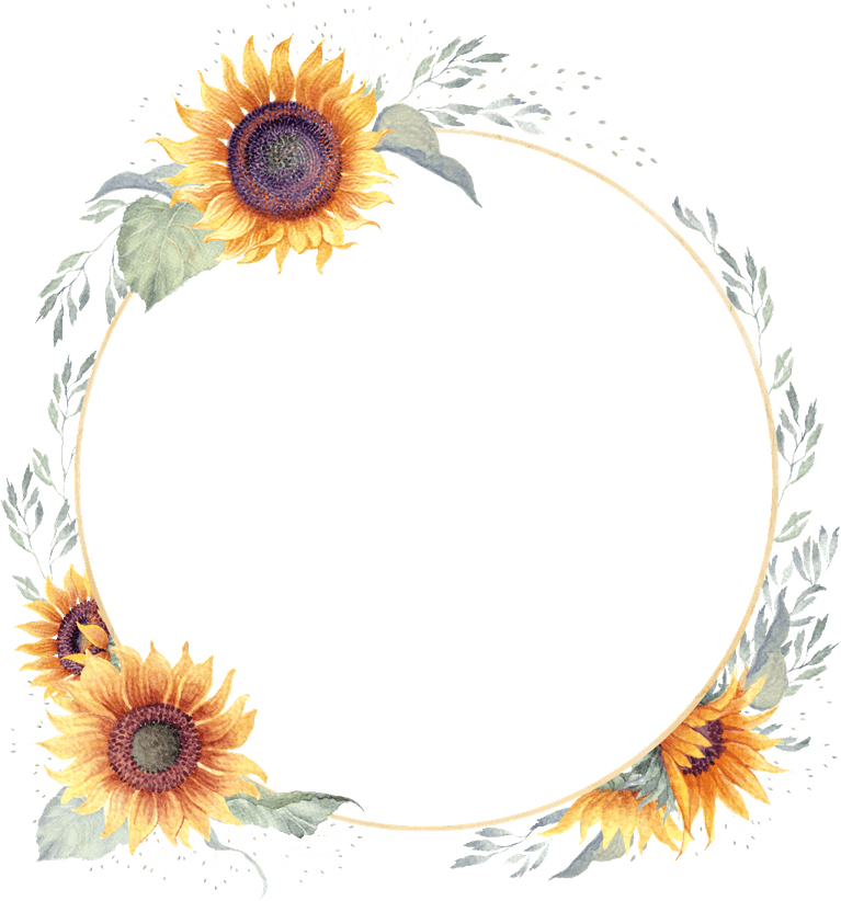 Sunflower Border PNG