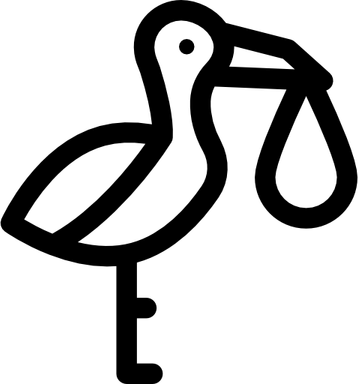 Stork Baby PNG