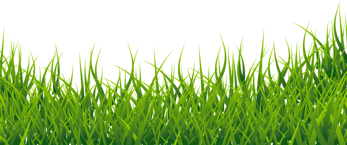 Lawn PNG