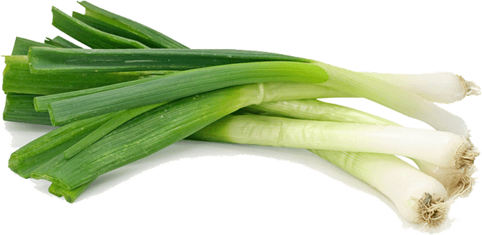 Spring Onions PNG