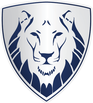 Lion Drawing PNG