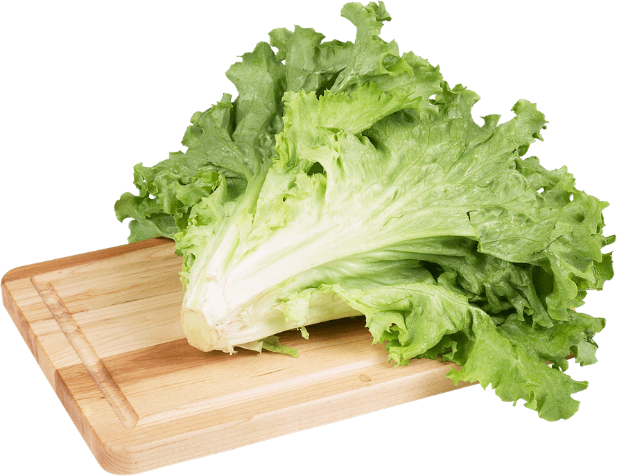 Lettuce PNG
