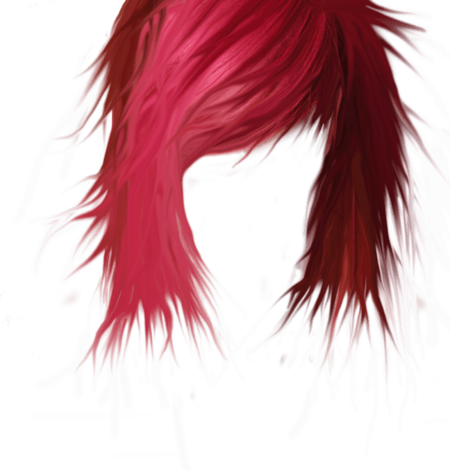 Anime Hair PNG