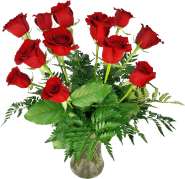 Long Stem Rose PNG