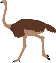 Emu PNG