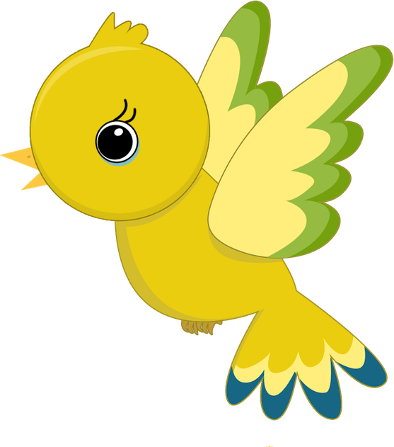 Cute Bird PNG