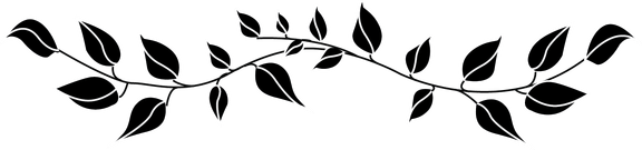 Leaves Divider PNG