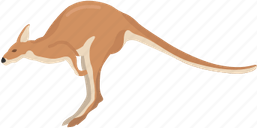 Wallaroos PNG