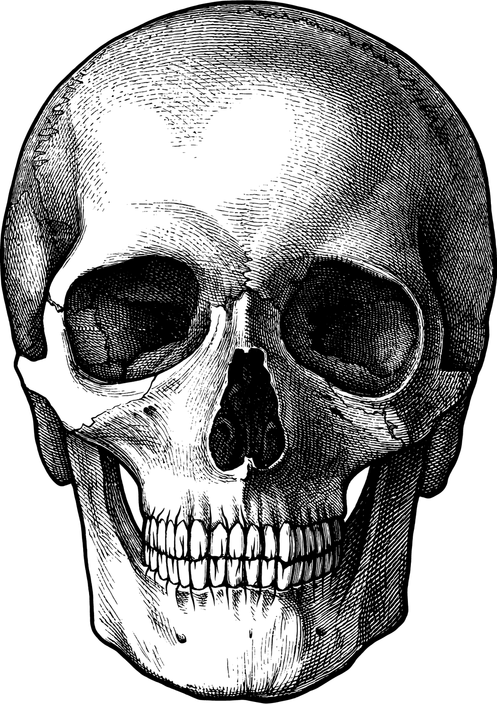 Skull Drawing PNG
