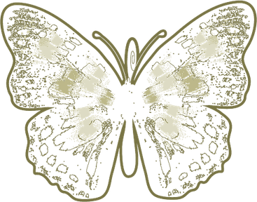 Ai Butterfly PNG