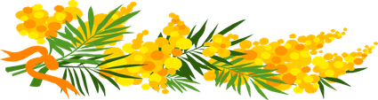 Flower Divider PNG