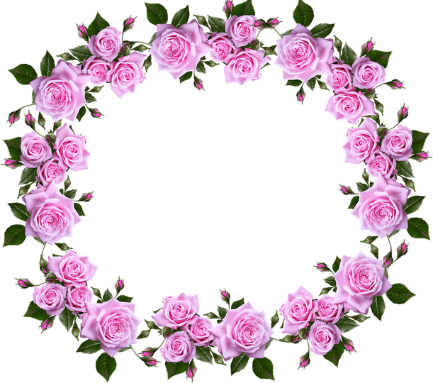 Cute Flower Border PNG