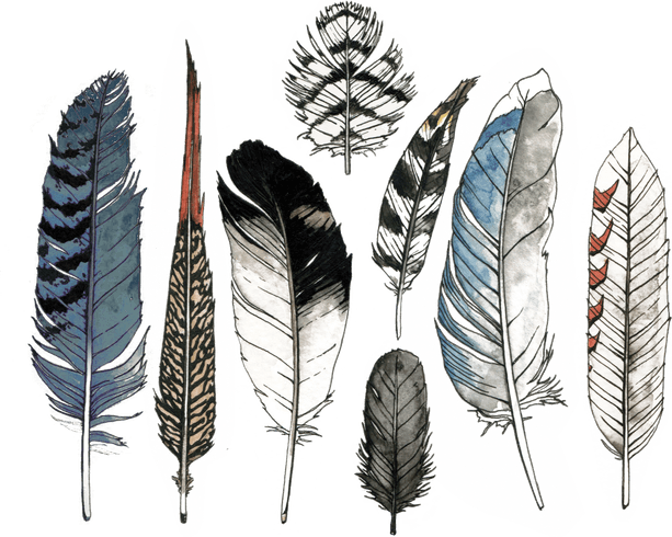 Watercolor Feather PNG