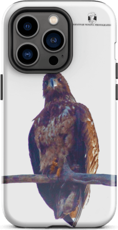 Iphone Eagle PNG