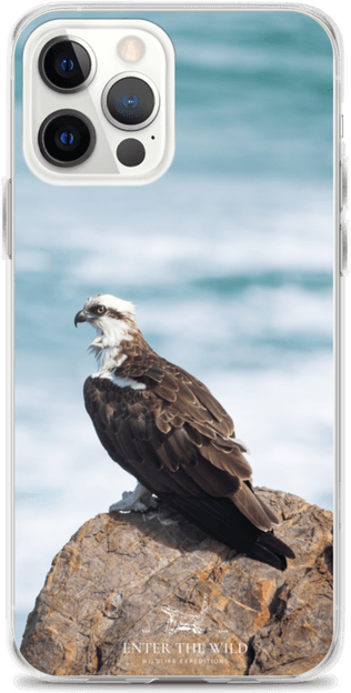 Iphone Eagle PNG