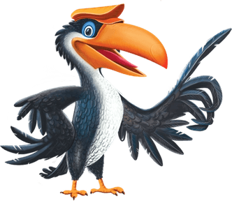 Hornbill Bird PNG