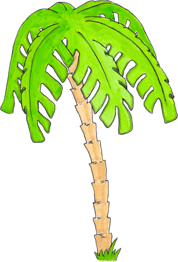 Watercolor Palm Tree PNG