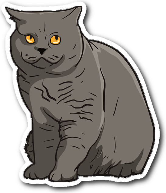 British Shorthair Cat PNG