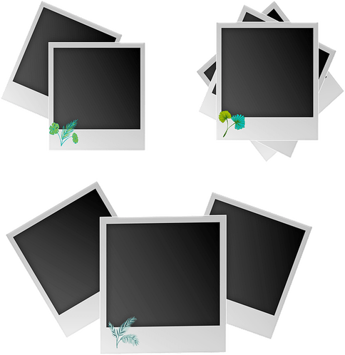 Polariod PNG