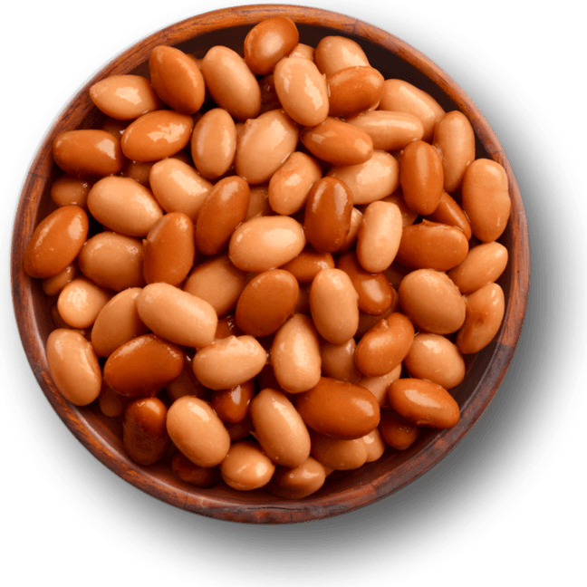 Pinto Beans PNG