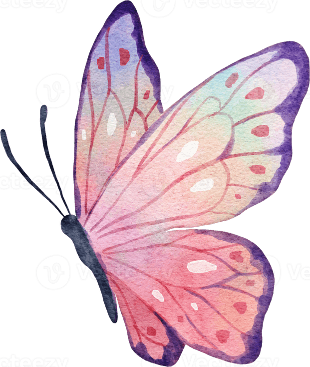 Watercolor Purple Butterfly PNG