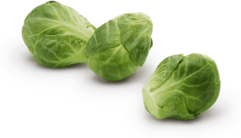 Brussel Sprout PNG