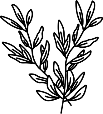 Rosemary PNG