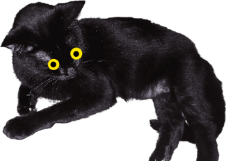 Black Cat Yellow Eyes PNG
