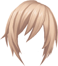 Anime Hair PNG