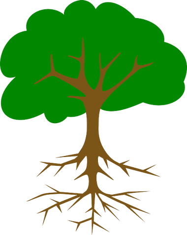 Tree Roots PNG