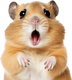 Hamster Meme Big Eyes PNG