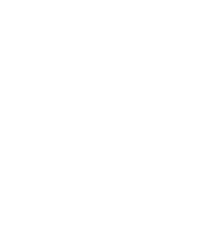 White Snowflake PNG