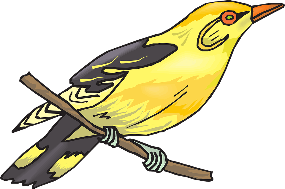 Gold Bird PNG