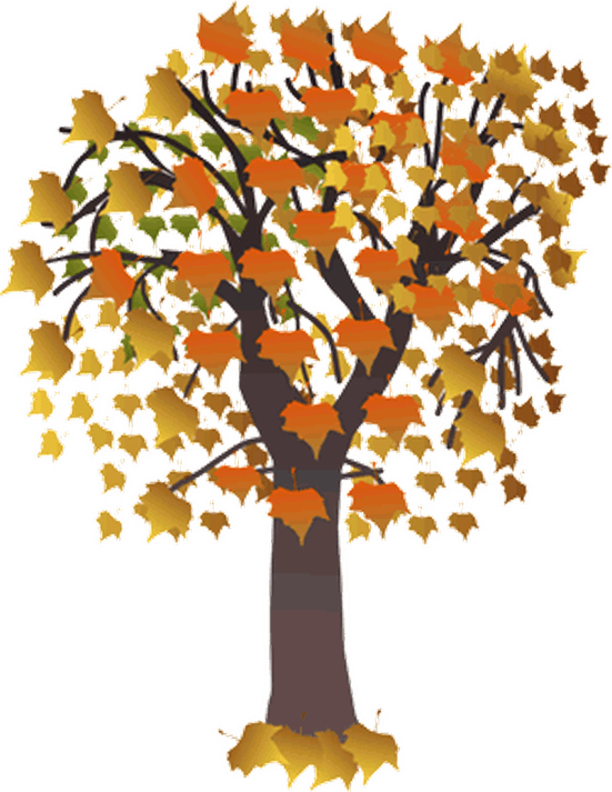Fall Tree PNG